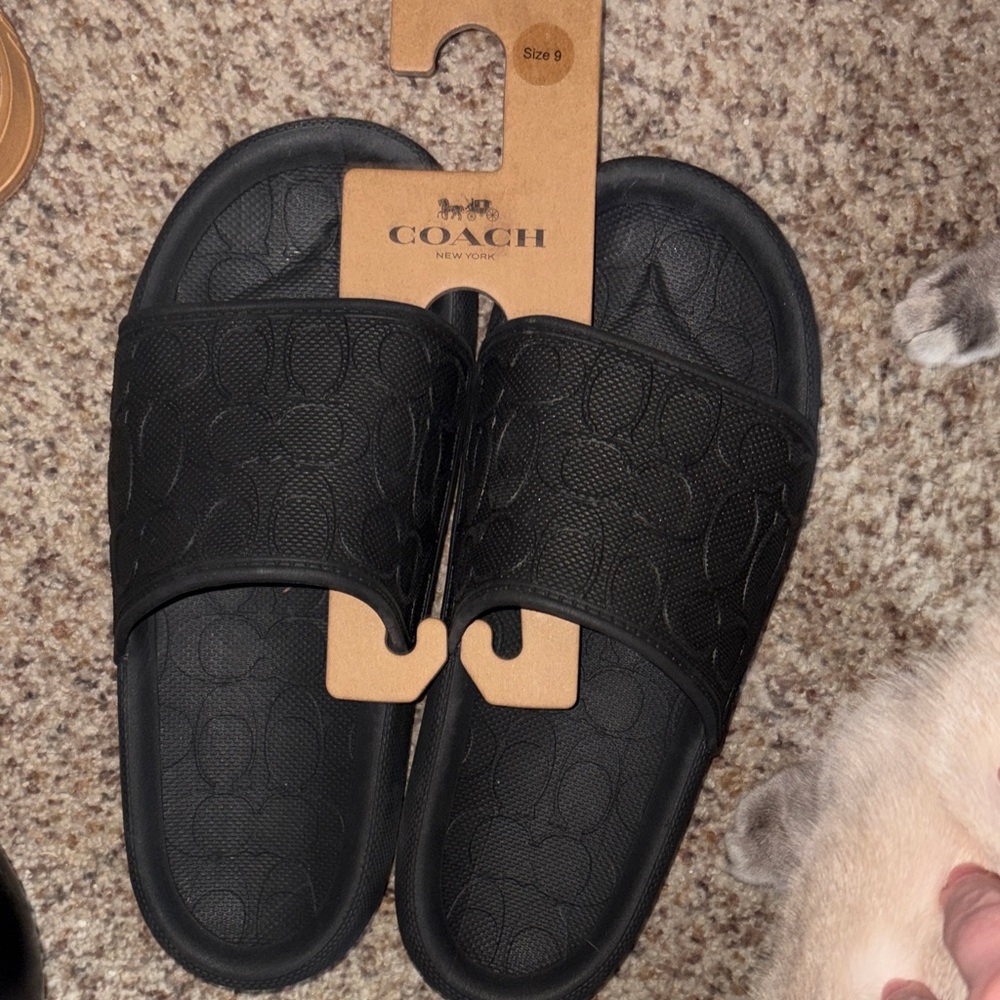 Coach Textured Black Slides